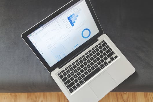 SEO Basics Graphic